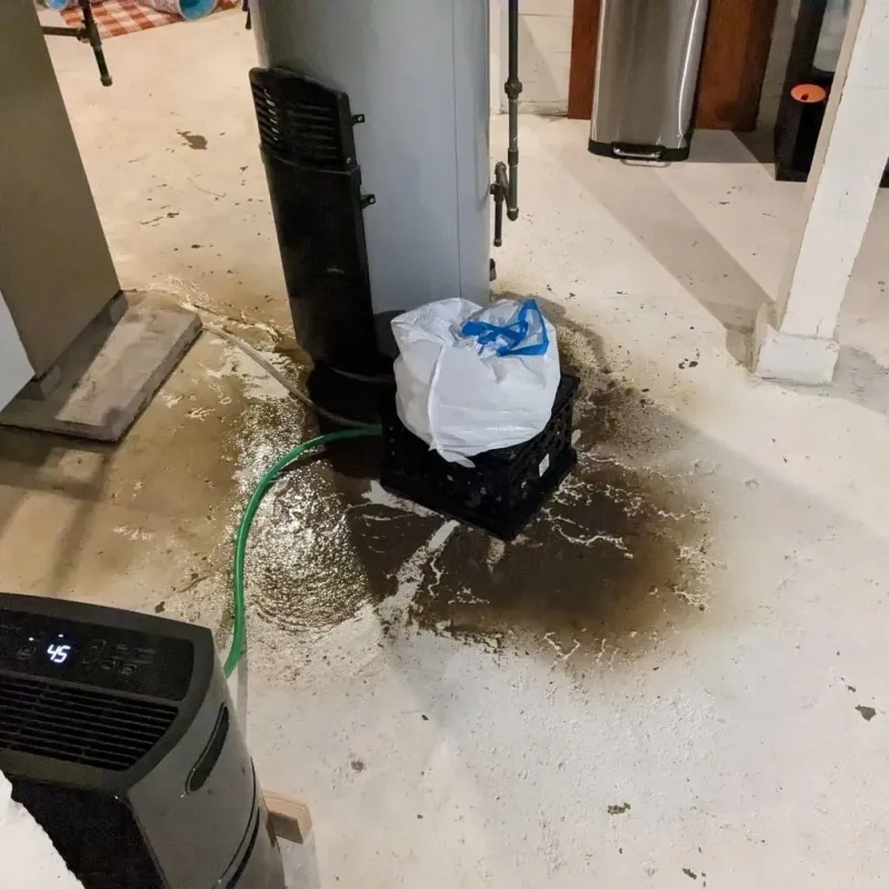 Sewage Backup Cleanup Service in Ozark, AL